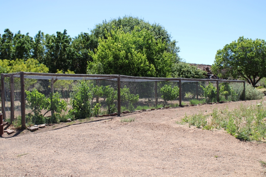 3 Bedroom Property for Sale in Fraserburg Rural Northern Cape